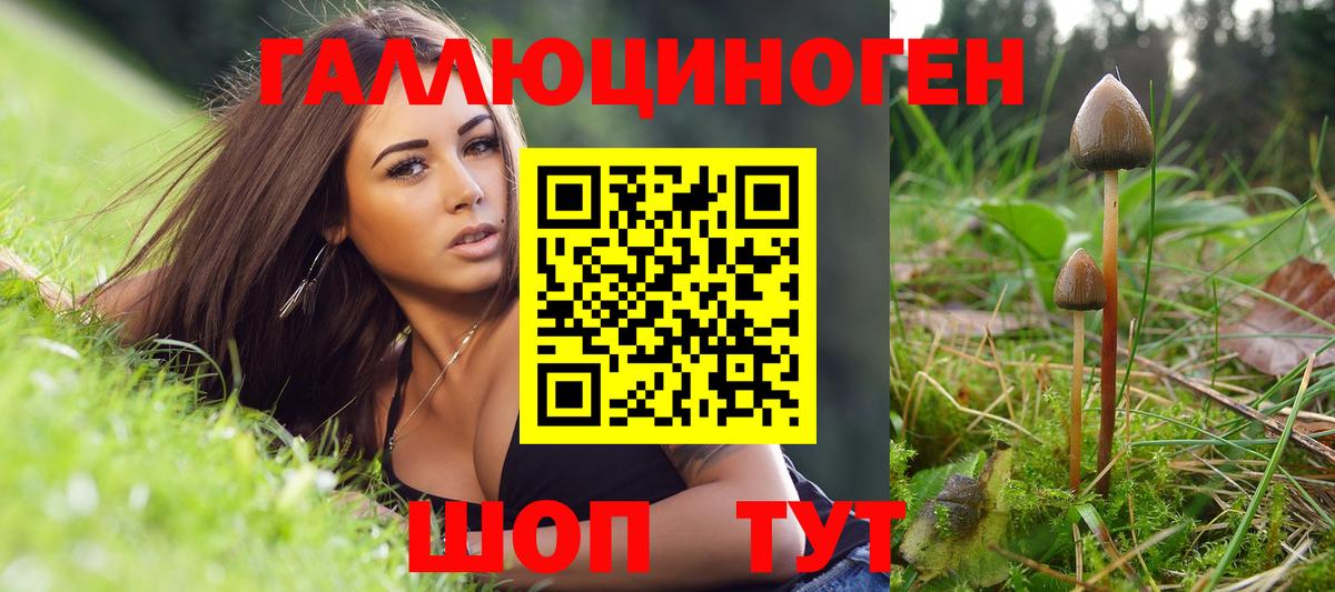 Курск  Псилоцибиновые грибы GOLDEN TEACHER  цена наркотик  Вход с VPN 